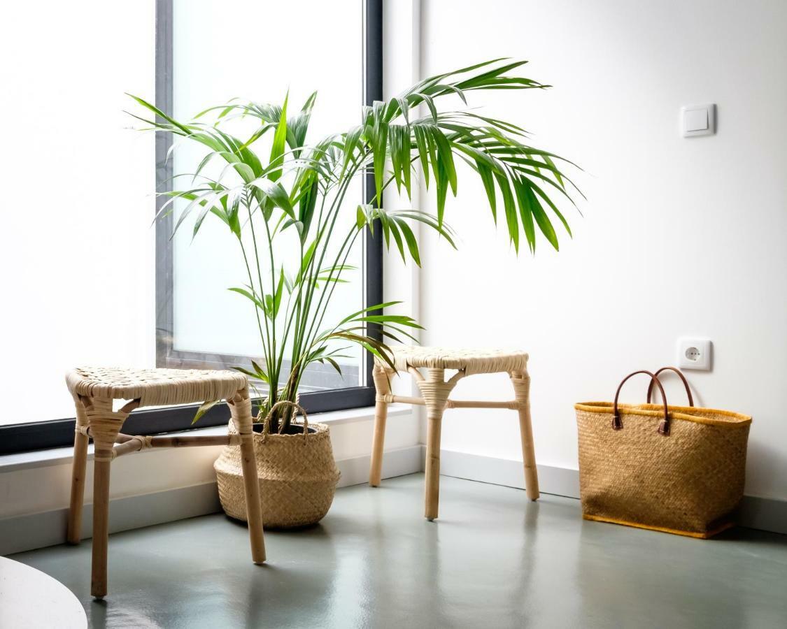 Casa Do Vento By Home Sweet Home Aveiro Bagian luar foto